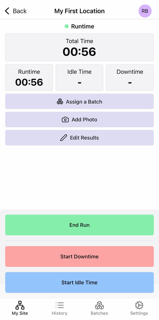 Screenshot of run screen with batch button